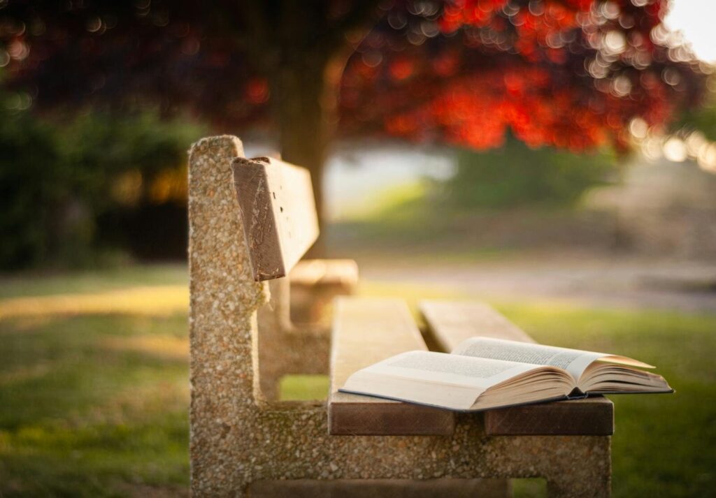 Serene outdoor scene of an open book on a bench with vibrant fall foliage in the background.